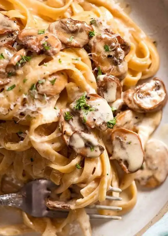 Pasta with Creamy Mushroom Sauce