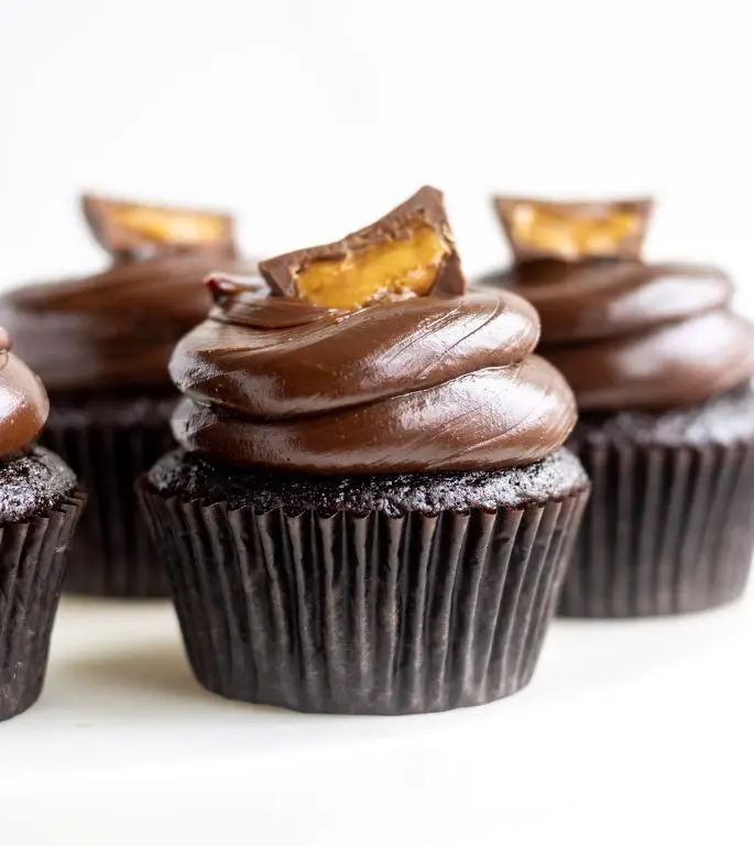 Peanut Butter Smores Cupcakes with Chocolate Ganache