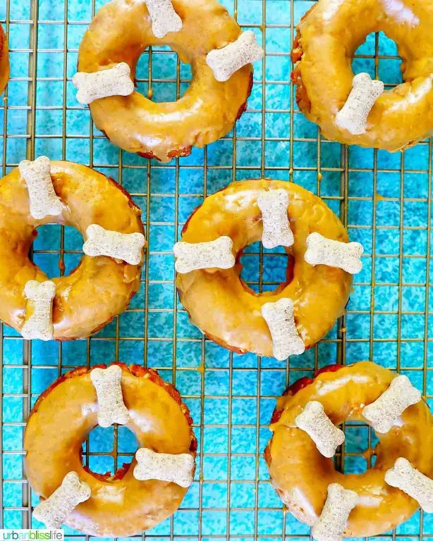 Peanut Butter and Pumpkin Doggie Donuts