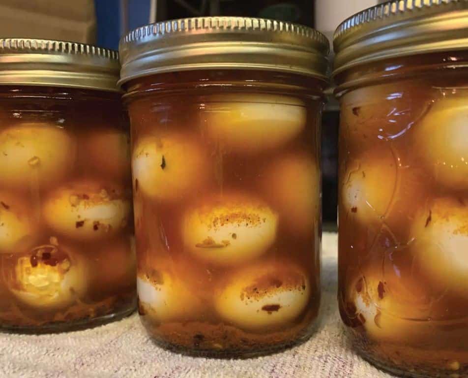 Pickled Quail Eggs with Fennel and Orange