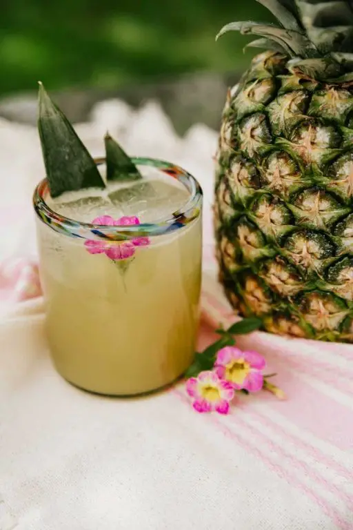 Pineapple Juice Spritzer