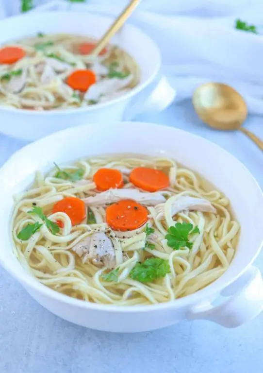 Polish Chicken Soup with Noodles
