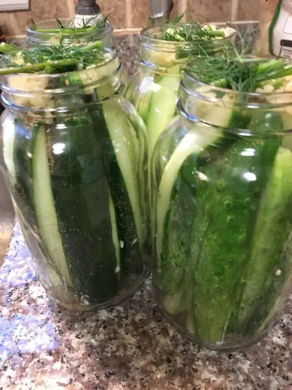 Polish Dill Pickles with Apple Cider Vinegar