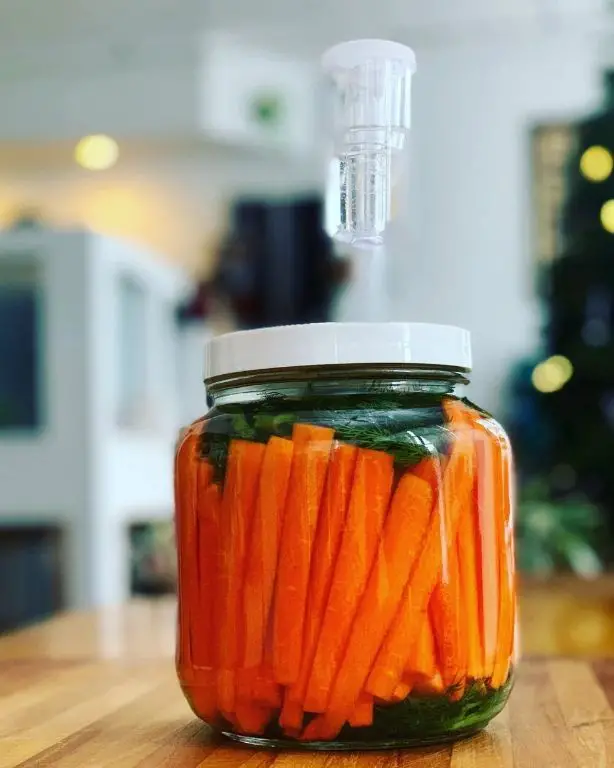 Polish Dill Pickles with Carrot Strips