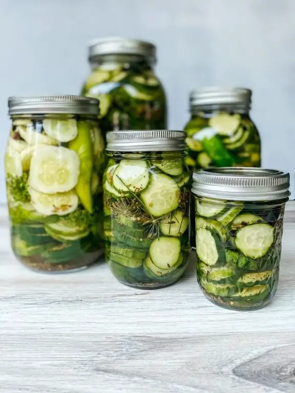 Polish Dill Pickles with Juniper Berries