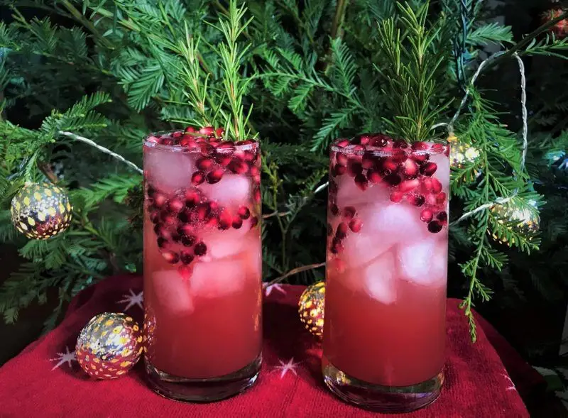 Pomegranate Apple Spritzer