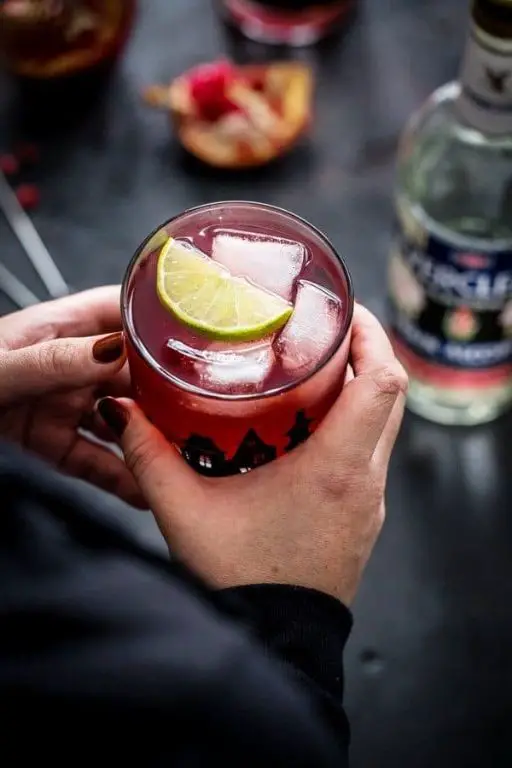 Pomegranate Ginger Fizz Punch