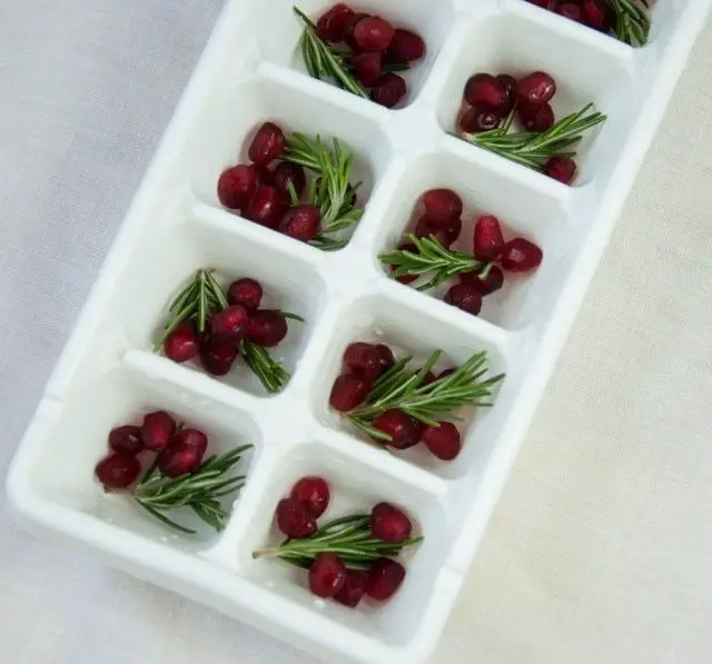 Pomegranate Rosemary Italian Ice