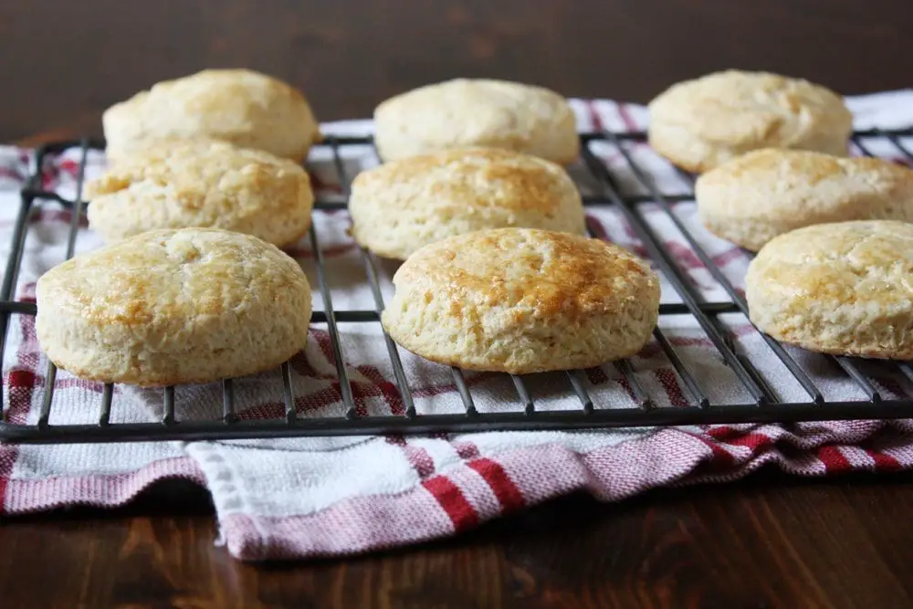 Powdered Milk Biscuits