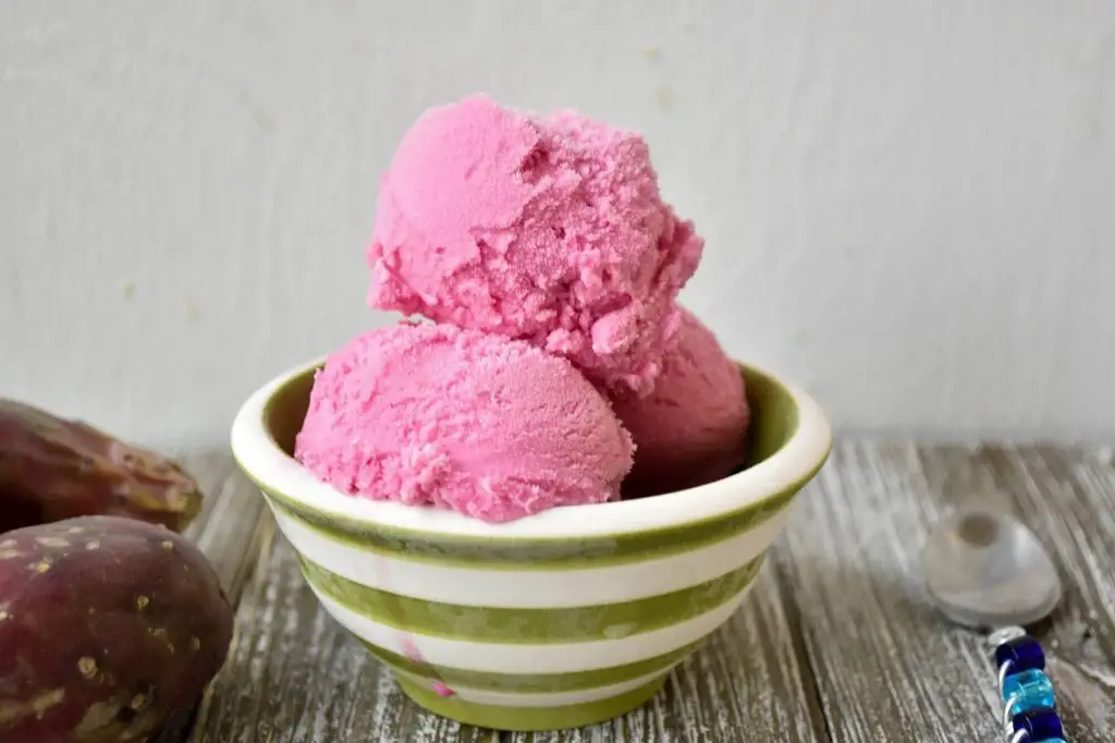 Prickly Pear Fruit Gelato