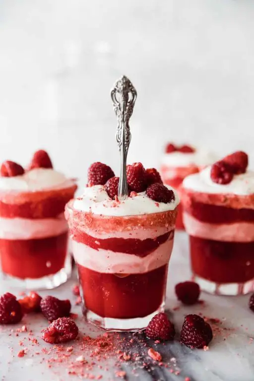 Raspberry Jello Congealed Salad