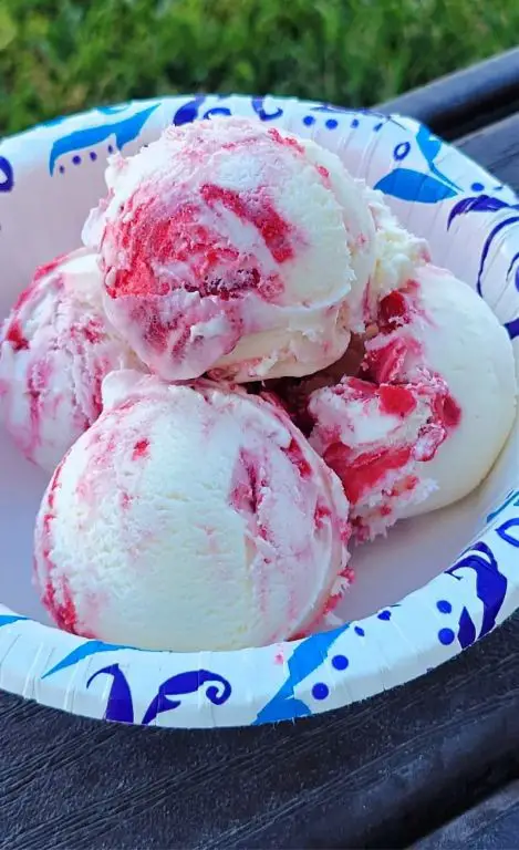 Raspberry Swirl Ice Cream Bites