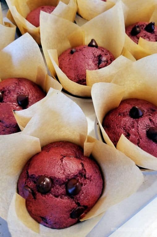 Red Velvet Cake Mix Muffins with Chocolate Chips
