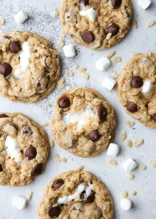 Rice Krispies Chocolate Chip Cookies