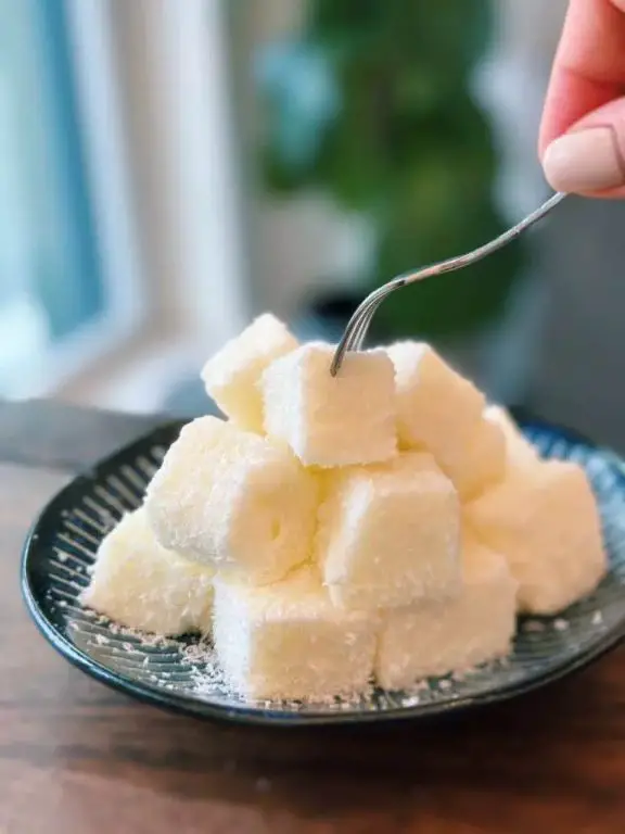 Rich Powdered Milk Pudding