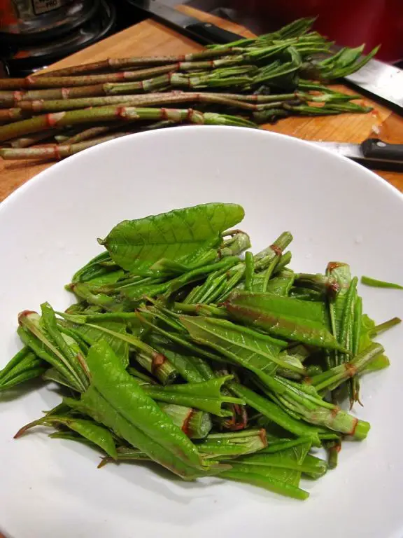 Roasted Japanese Knotweed with Lemon Zest