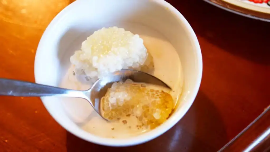 Sago Gula Melaka with Palm Sugar Syrup