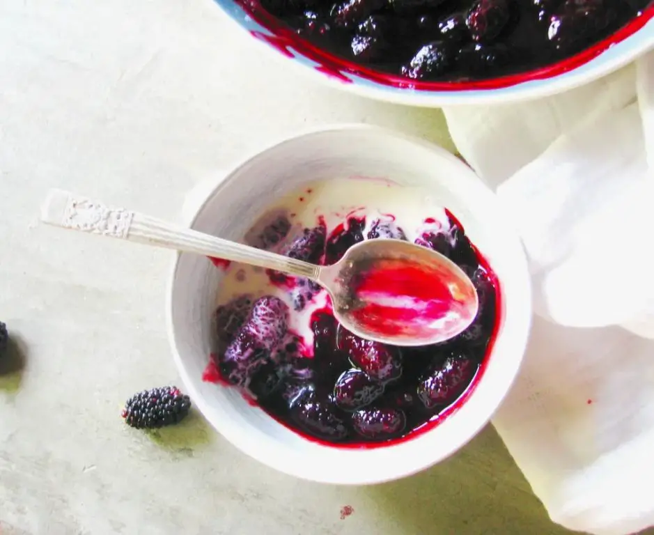 Sago with Mixed Berries Compote