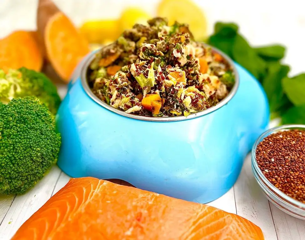 Salmon and Quinoa Canine Feast