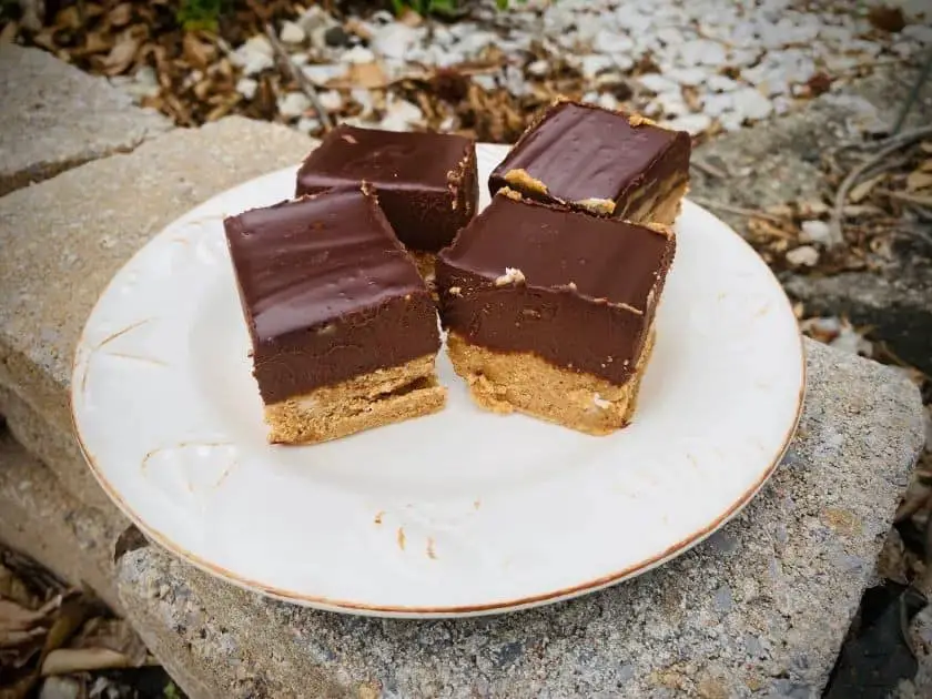 Silken Tofu Almond Butter Fudge
