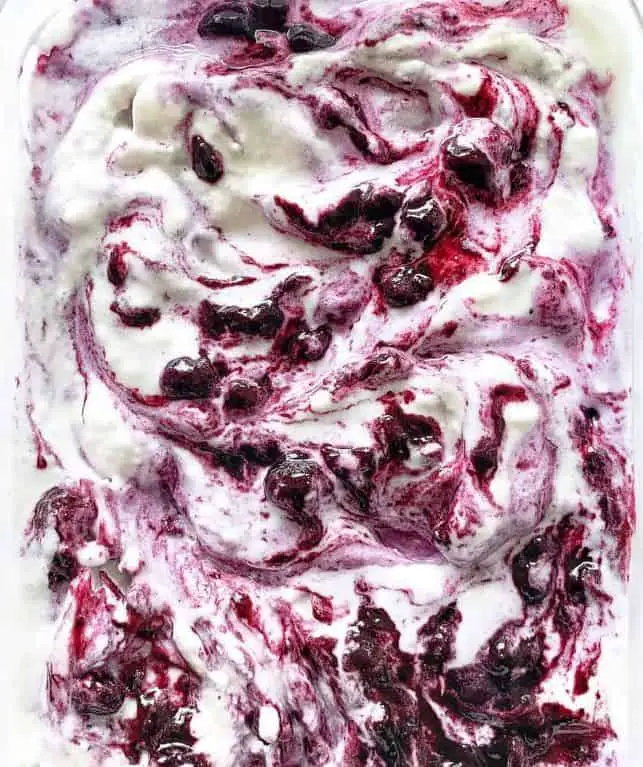 Silken Tofu Blueberry Swirl Ice Cream
