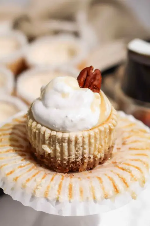 Skinny Syrup Cheesecake Bites