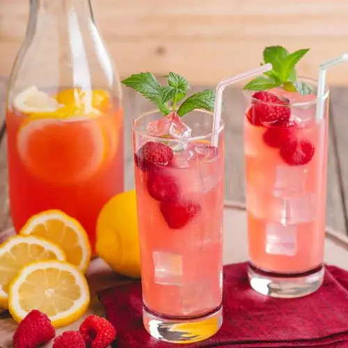 Skinny Syrup Infused Lemonade