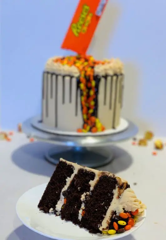 Skittle Chocolate Cake with Ganache