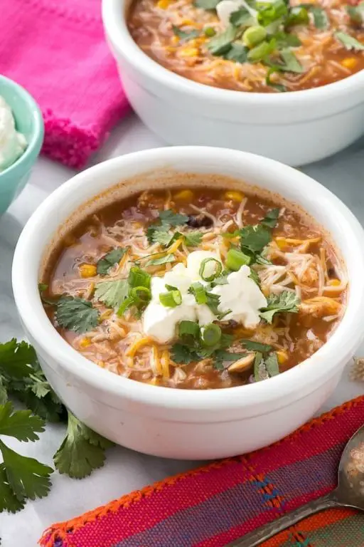 Slow Cooker Mexican Chicken and Rice Stew