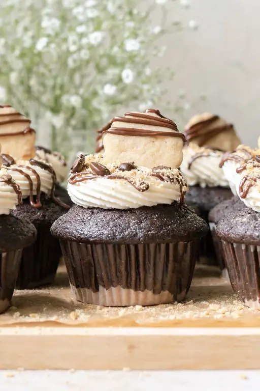 Smores Cupcakes with Espresso Chocolate Frosting