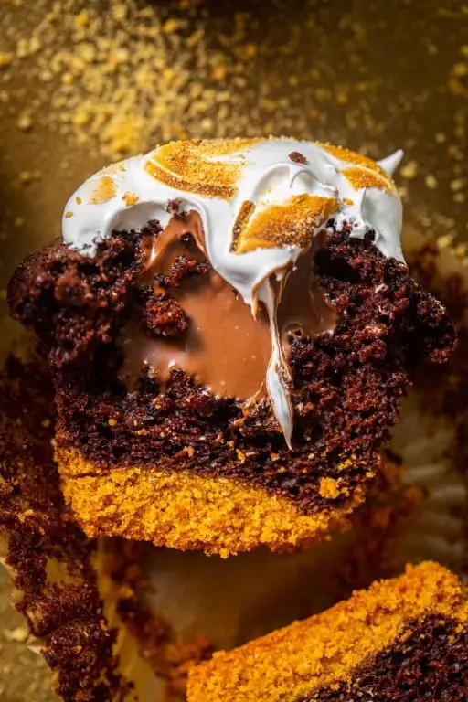 Smores Cupcakes with Hazelnut Spread Frosting