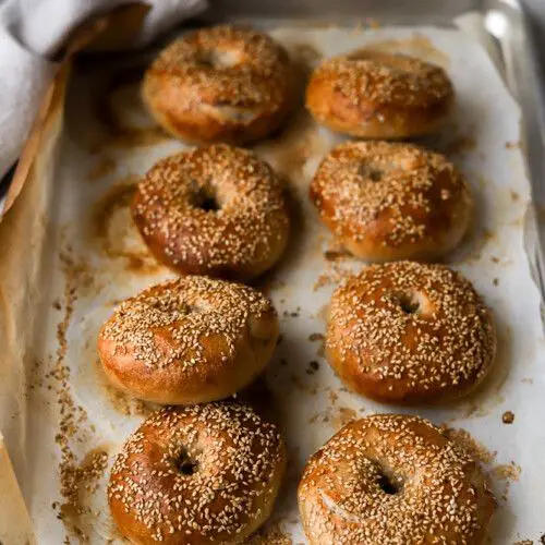 Sourdough Bagels