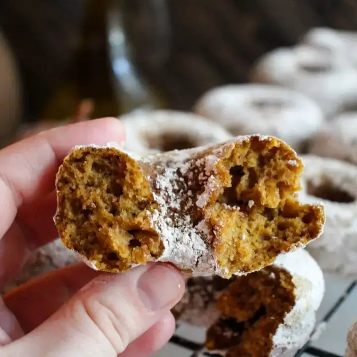 Sourdough Discard Pumpkin Spice Donuts