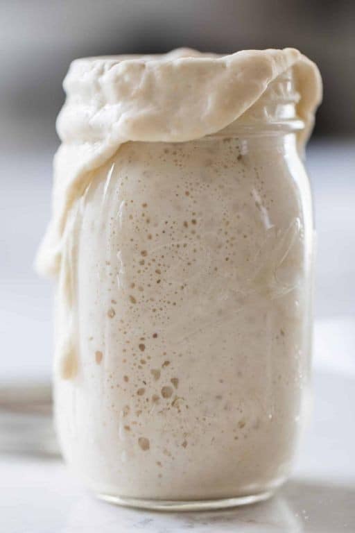 Sourdough Fermented Bread Starter