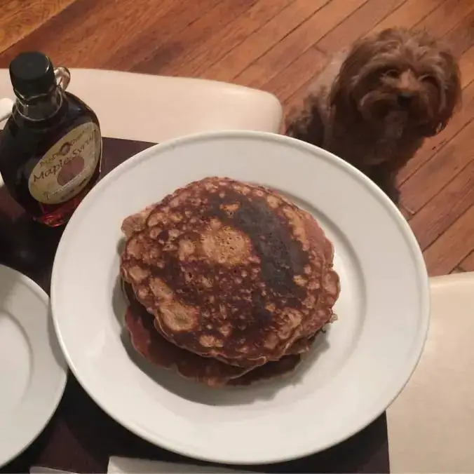 Spent Grain Pancakes with Maple Syrup