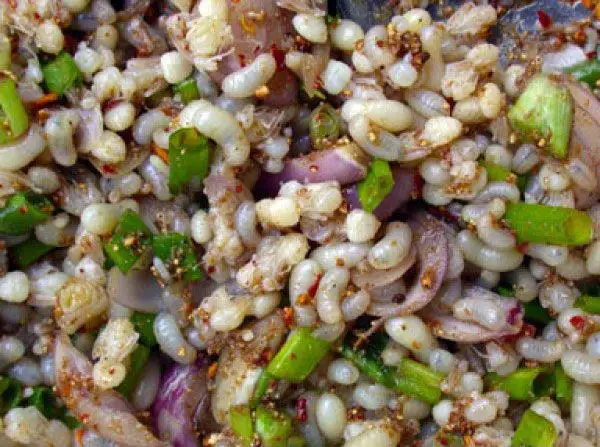Spicy Ant Larva Stir-Fry