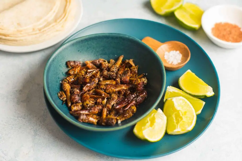 Spicy Grasshopper and Rice Bowl