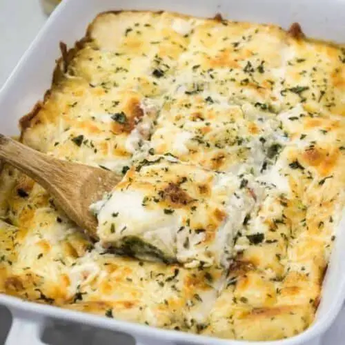 Spinach and Mushroom Ragu Alfredo Lasagna