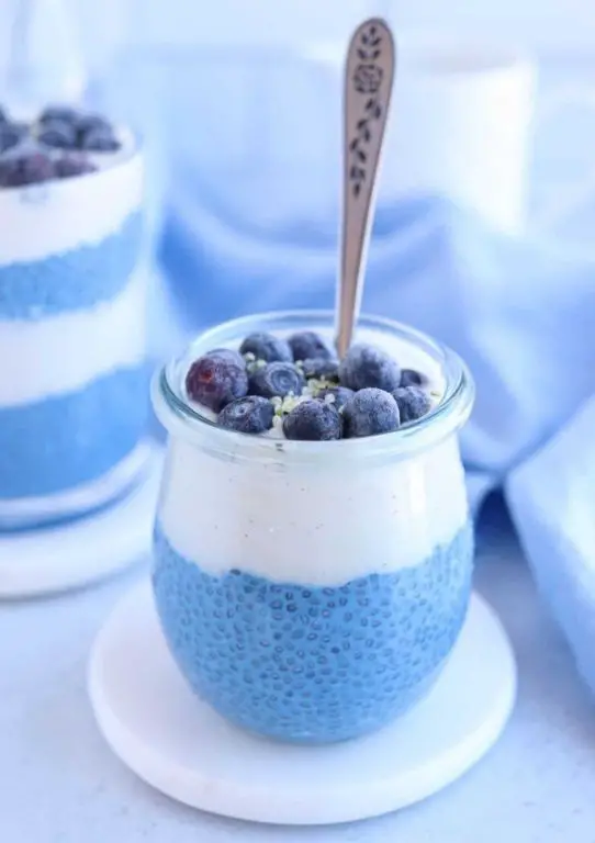 Spirulina Chia Pudding with Coconut Milk
