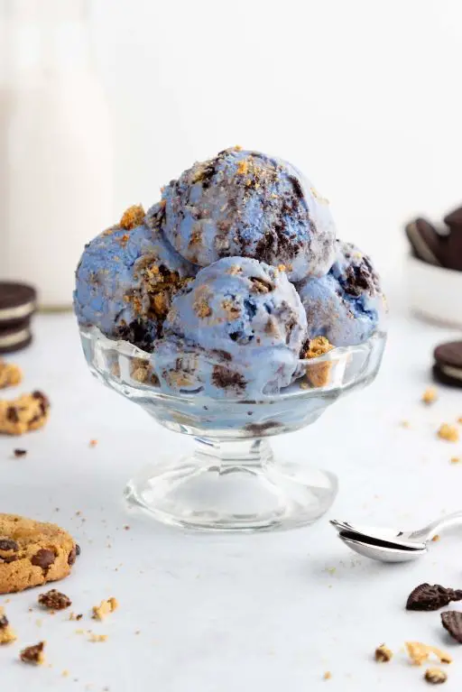 Spirulina Ice Cream with Dark Chocolate Chips