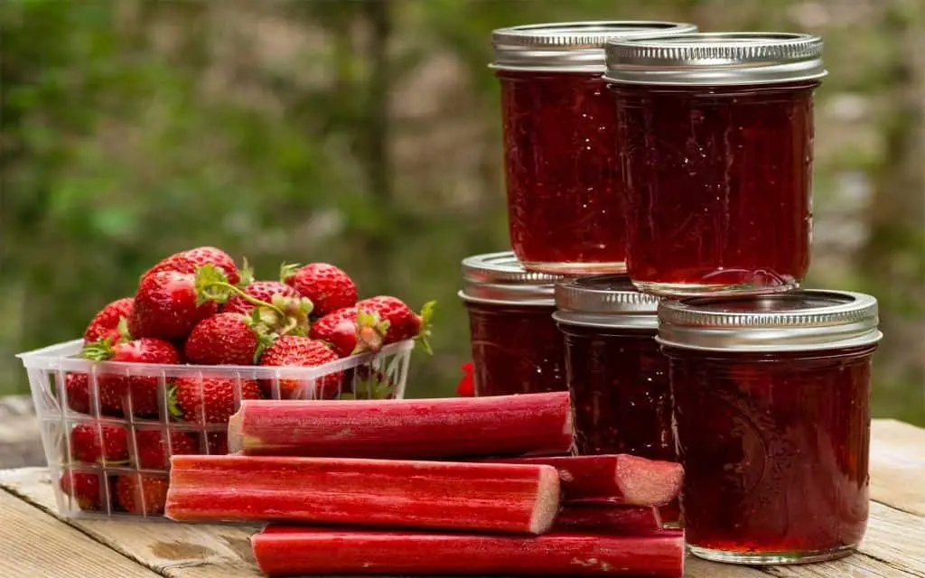 Strawberry Rhubarb Jelly with Honey