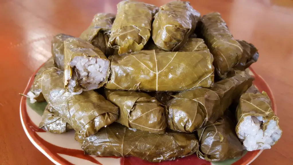 Stuffed Grape Leaves with Rice and Herbs