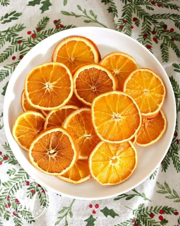 Tangy Dehydrated Orange Slices