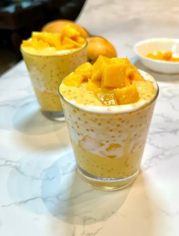 Tapioca Pearl Mango Float