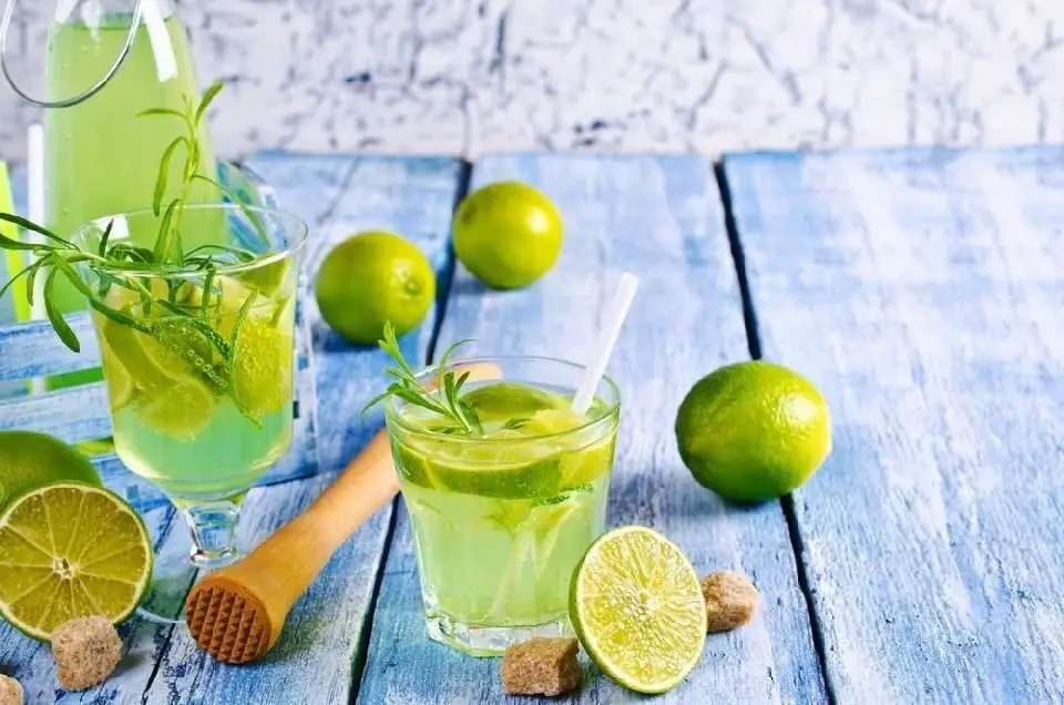 Tarragon Lemonade with Mint