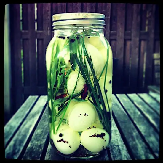 Tarragon and White Wine Pickled Eggs