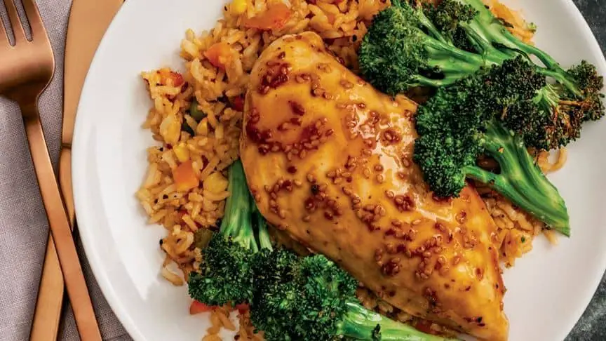 Teriyaki Ninja Foodi Chicken Breast