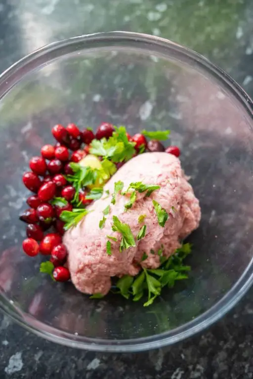 Turkey and Cranberry Dog Stew
