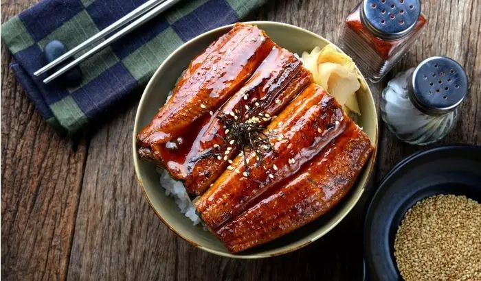 Unagi Don Grilled Eel Rice Bowl