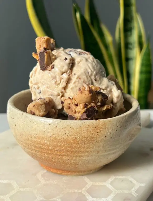 Vanilla Bean Cashew Health Ice Cream